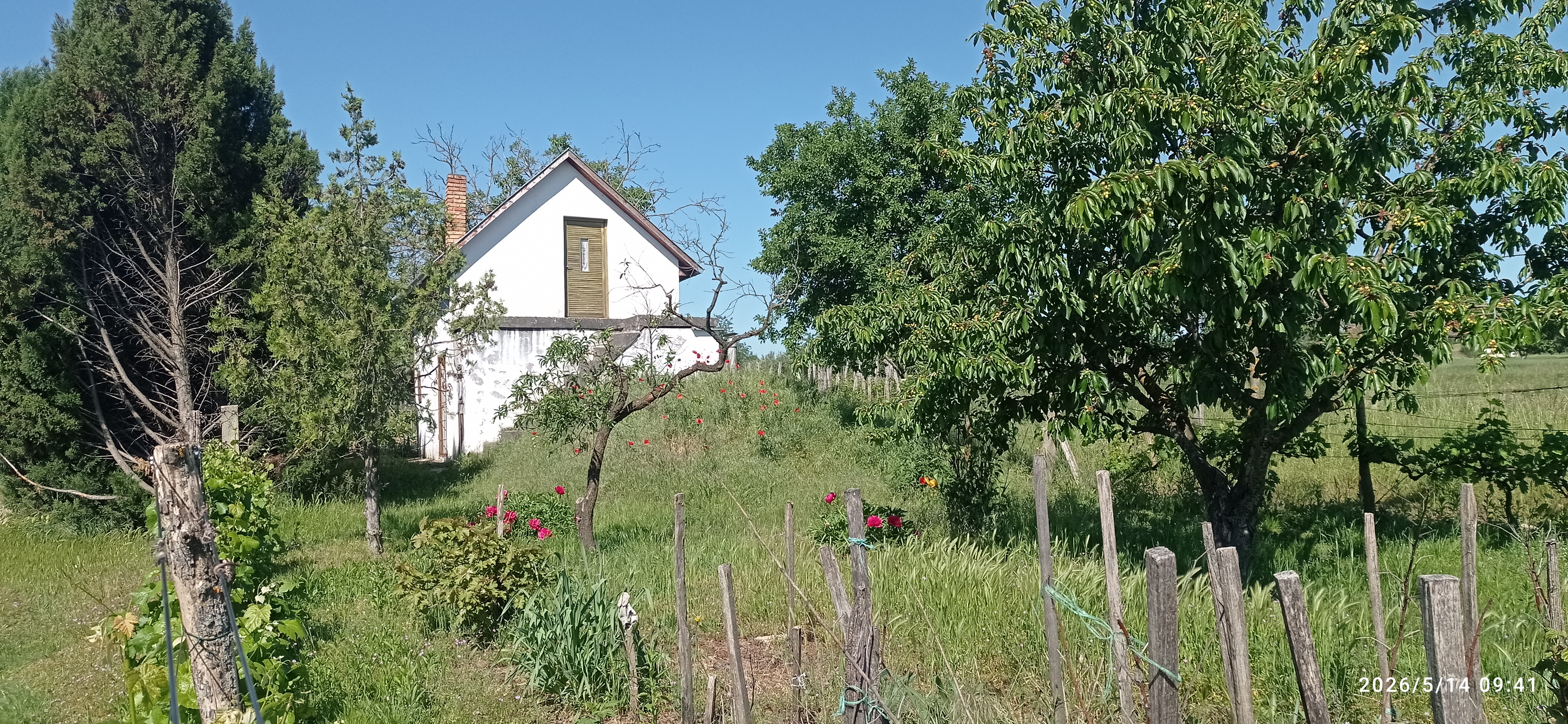Galéria kép