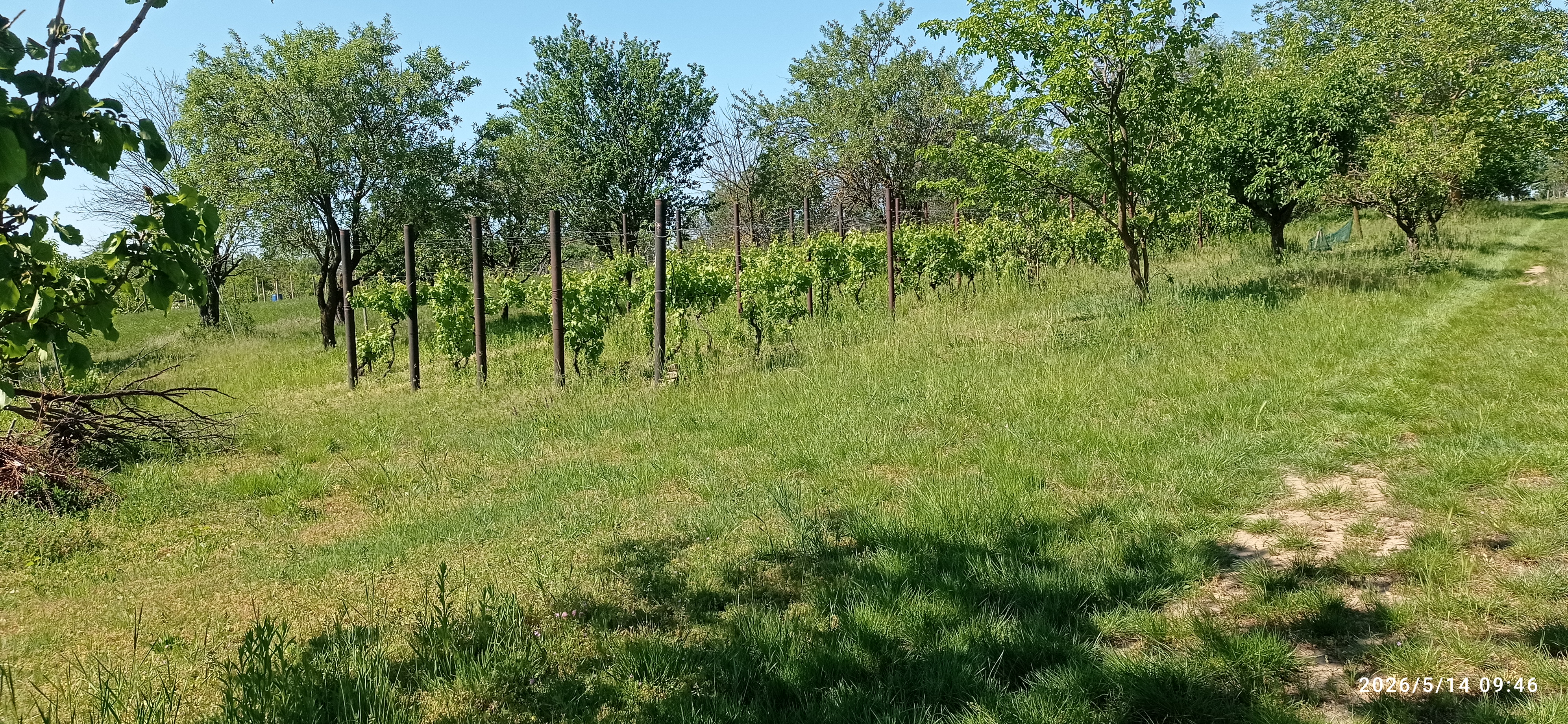 Galéria kép